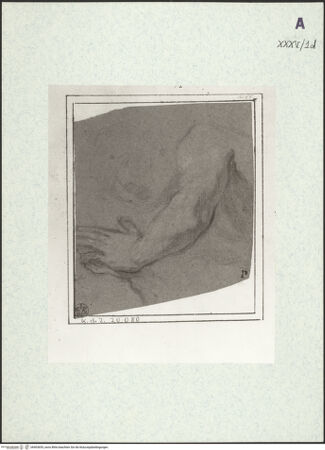 Vorderseite von bh403655_recto