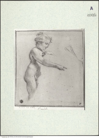 Vorderseite von bh403666_recto