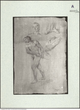 Vorderseite von bh403667_recto