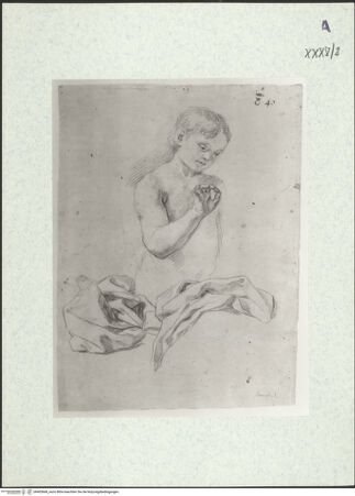 Vorderseite von bh403668_recto