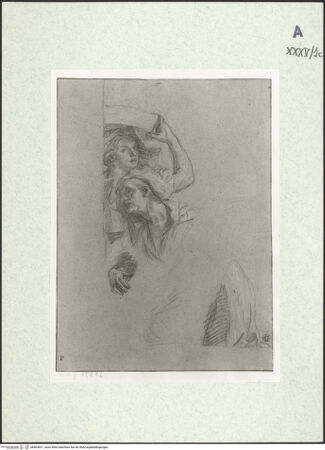 Vorderseite von bh403691_recto