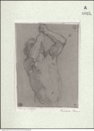 Vorderseite von bh403699_recto