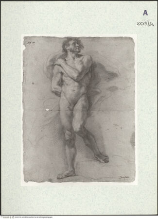 Vorderseite von bh403703_recto