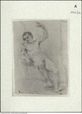 Vorderseite von bh403711_recto