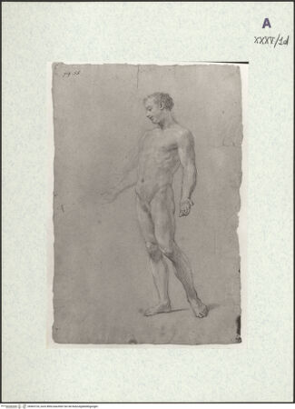 Vorderseite von bh403724_recto