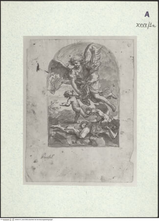 Vorderseite von bh403737_recto