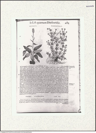 Vorderseite von bh403792_recto