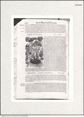 Vorderseite von bh403851_recto