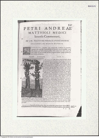 Vorderseite von bh403852_recto