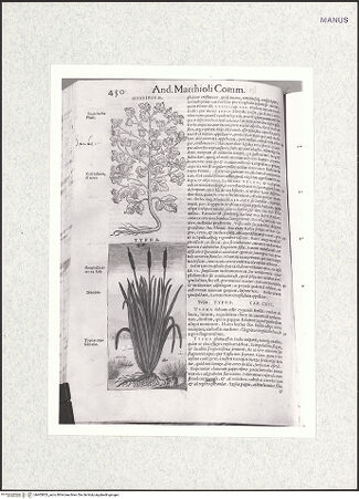 Vorderseite von bh403853_recto