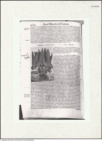 Vorderseite von bh403854_recto