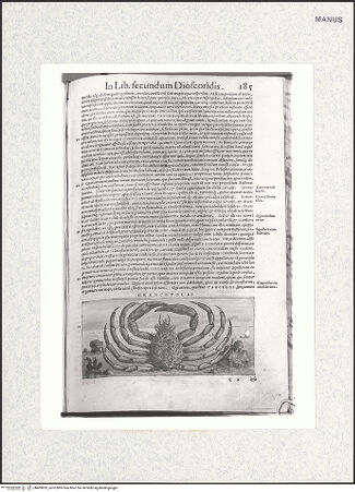 Vorderseite von bh403859_recto