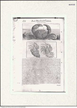 Vorderseite von bh403860_recto