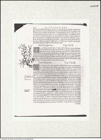 Vorderseite von bh403863_recto