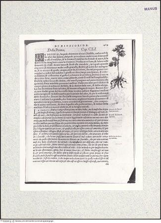 Vorderseite von bh403864_recto