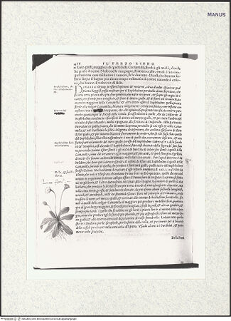 Vorderseite von bh403865_recto