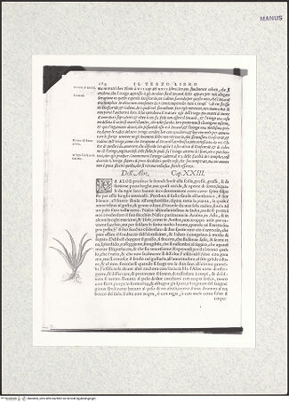 Vorderseite von bh403866_recto