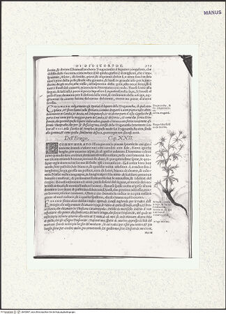 Vorderseite von bh403867_recto