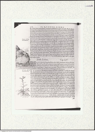 Vorderseite von bh403870_recto