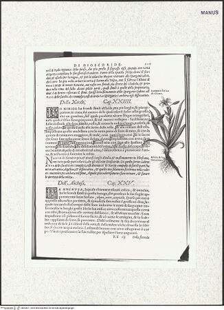 Vorderseite von bh403871_recto