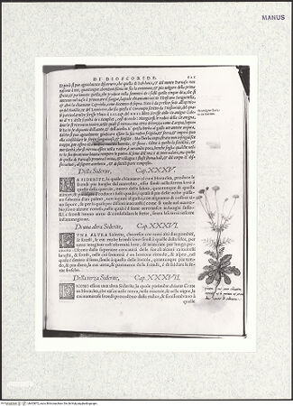 Vorderseite von bh403872_recto