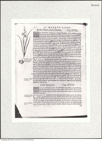 Vorderseite von bh403873_recto