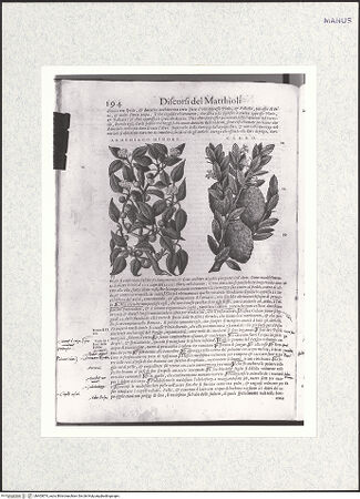 Vorderseite von bh403874_recto