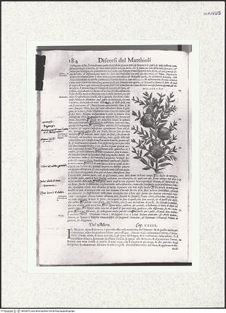 Vorderseite von bh403875_recto