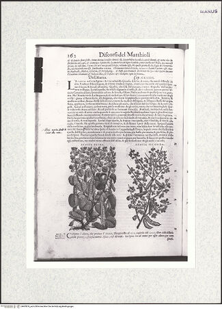 Vorderseite von bh403876_recto