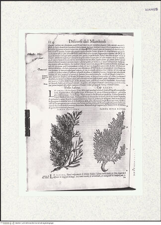 Vorderseite von bh403877_recto