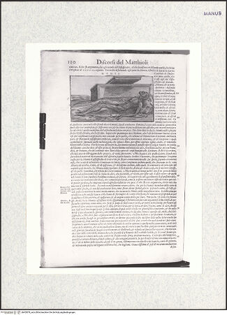 Vorderseite von bh403878_recto