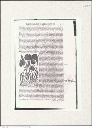 Vorderseite von bh403879_recto