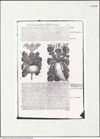 Vorderseite von bh403880_recto