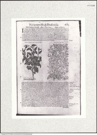 Vorderseite von bh403884_recto