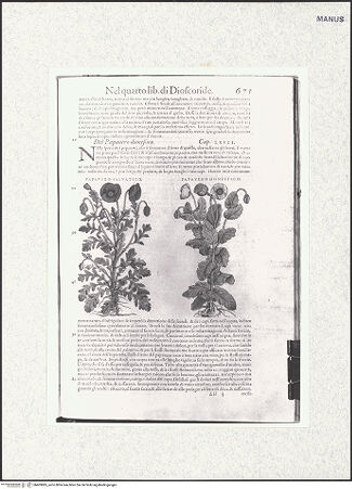 Vorderseite von bh403885_recto