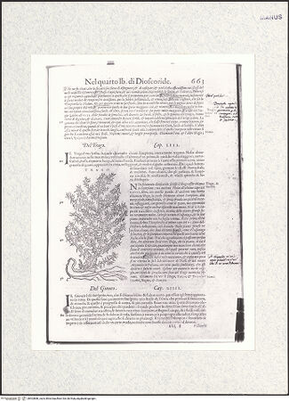 Vorderseite von bh403886_recto