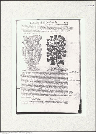 Vorderseite von bh403887_recto