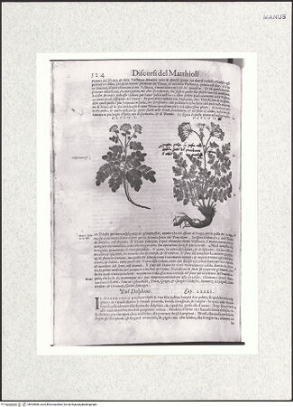 Vorderseite von bh403888_recto