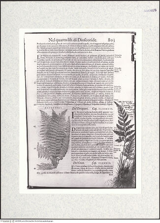 Vorderseite von bh403890_recto