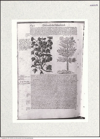 Vorderseite von bh403892_recto