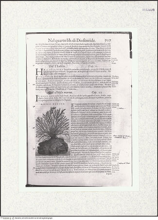 Vorderseite von bh403893_recto