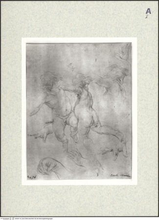 Vorderseite von bh404118_recto