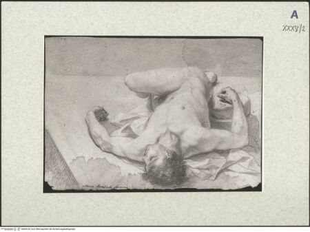 Vorderseite von bh404143_recto