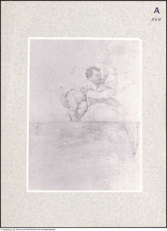 Vorderseite von bh404168_recto