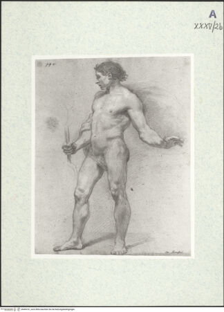 Vorderseite von bh404181_recto