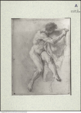 Vorderseite von bh404182_recto