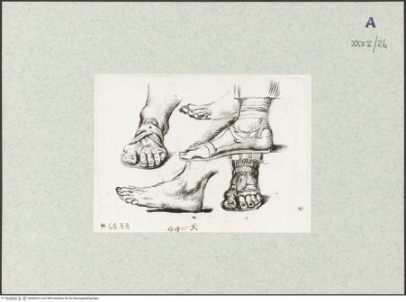 Vorderseite von bh404303_recto