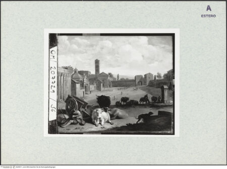 Vorderseite von bh405011_recto