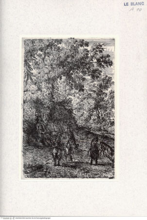 Vorderseite von  [http://creativecommons.org/publicdomain/mark/1.0/] Die vier Ziegen - , bh405046. Foto.