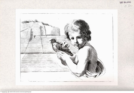 Vorderseite von Istituto Nazionale per la Grafica-Calcografia [http://creativecommons.org/publicdomain/mark/1.0/] Stichfolge nach Guercinos "Esemplari per il disegno"Halbfigur eines Kindes mit einem Vogel in den Händen - , bh405156. Foto.